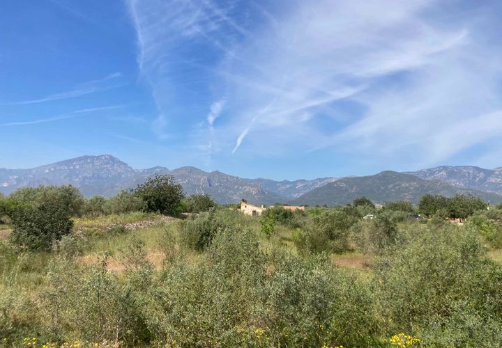 Landejendom i El Perello, Tarragona, El Perello - € 45.000 | Ref: Finca Els Regue - foto 1